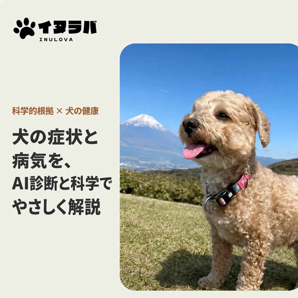 イヌラバのメイン画像
